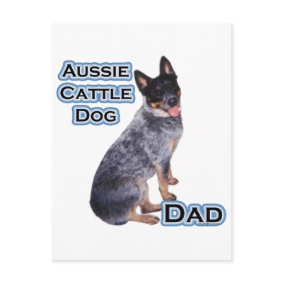 Australian Cattle Dog Dad 4 Postcard by GreyWolfCreation