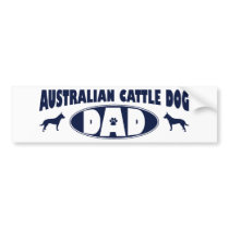 Australian Cattle Dog Dad