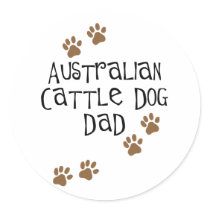 Australian Cattle Dog Dad