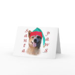 Australian Cattle Dog Dog Santa Paws