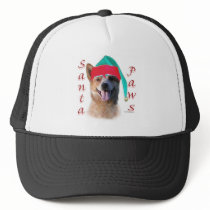 Australian Cattle Dog Dog Santa Paws