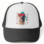 Australian Cattle Dog Dog Santa Paws hats