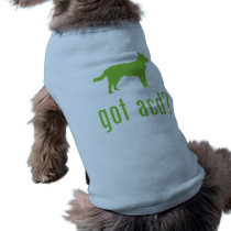 Australian Cattle Dog