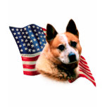 Australian Cattle Dog Flag t-shirts