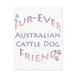 Australian Cattle Dog Furever Post Card