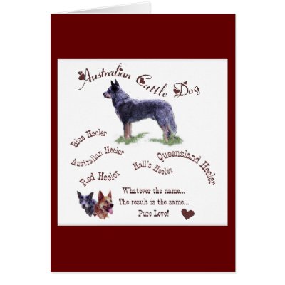 Australian Cattle Dog Gifts Card by DogsByDezign