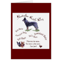 Australian Cattle Dog Gifts Card