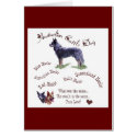 Australian Cattle Dog Gifts cards