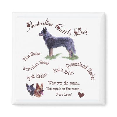 Australian Cattle Dog Gifts Magnet by DogsByDezign