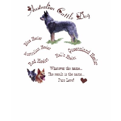 Australian Cattle Dog Gifts T Shirts by DogsByDezign