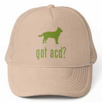 Australian Cattle Dog