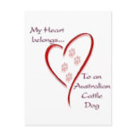 Australian Cattle Dog Heart Belongs Postcards