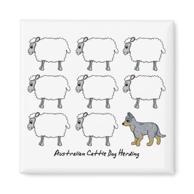 Australian Cattle Dog Herding Sheep Magnet by MenagerieMayhem