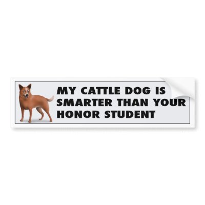 Australian Cattle Dog Honour Student by cartoondogs