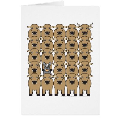 Australian Cattle Dog in the Herd Cards by khocker