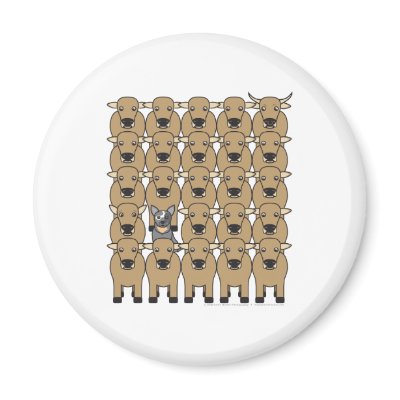 Australian Cattle Dog in the Herd Magnets by khocker