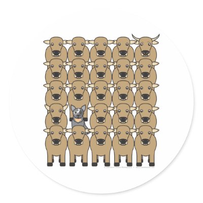 Australian Cattle Dog in the Herd Sticker by khocker