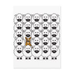 Australian Cattle Dog in the Sheep Post Card
