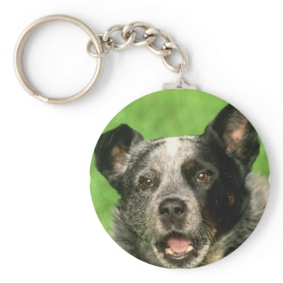 Australian Cattle Dog Keychain by DogPoundGifts