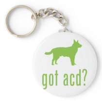 Australian Cattle Dog