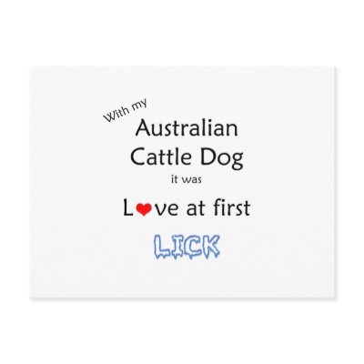 Australian Cattle Dog Lick Design Postcards by GreyWolfCreation