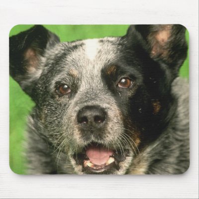 Australian Cattle Dog Mouse Pad by DogPoundGifts
