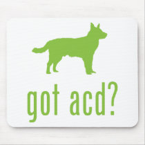 Australian Cattle Dog
