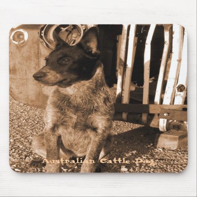Australian Cattle Dog Mousepad #2 by wildhorse59
