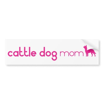 Australian Cattle Dog Mum by purelypups
