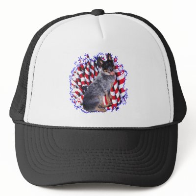 Australian Cattle Dog Patriot Hat by GreyWolfCreation
