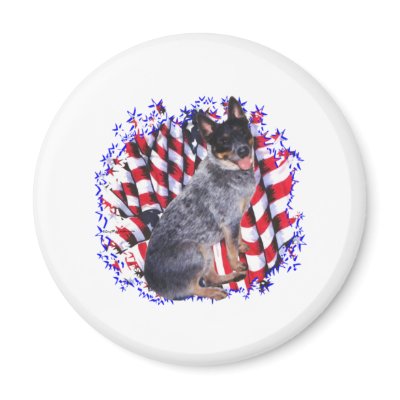 Australian Cattle Dog Patriot Fridge Magnets by GreyWolfCreation