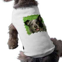 Australian Cattle Dog Pet Shirt