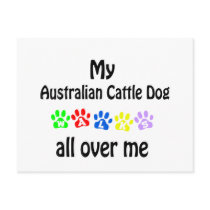 Australian Cattle Dog Post Cards