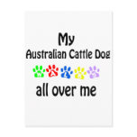 Australian Cattle Dog Postcards