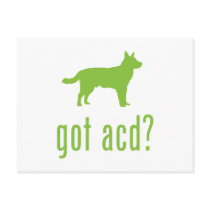Australian Cattle Dog