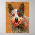 australian cattle dog posters