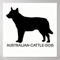 Australian Cattle Dog Print