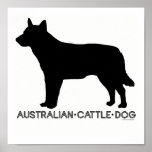 Australian Cattle Dog Print
