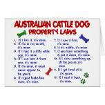 AUSTRALIAN CATTLE DOG Property Laws 2 cards