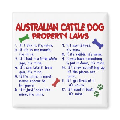 AUSTRALIAN CATTLE DOG Property Laws 2 by poochloverstuff