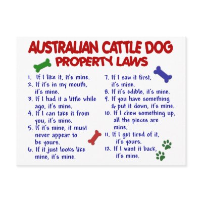 AUSTRALIAN CATTLE DOG Property Laws 2 by poochloverstuff