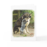 Australian Cattle Dog pup with Alaskan Malamute Greeting Cards