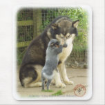 Australian Cattle Dog pup with Alaskan Malamute Mouse Pads