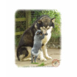 Australian Cattle Dog pup with Alaskan Malamute t-shirts