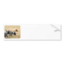 Australian Cattle Dog puppies 8T57D-18 Bumper Stickers