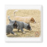 Australian Cattle Dog puppies 8T57D-18 Refrigerator Magnet