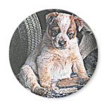 Australian Cattle Dog puppy Magnet