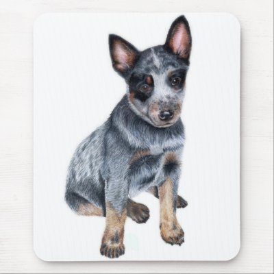 Australian Cattle Dog puppy Mouse Pad by kwesch