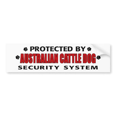 Australian Cattle Dog Security Bumper Stickers by DanesRUs