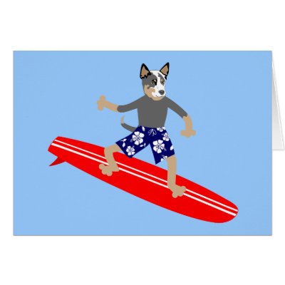 Australian Cattle Dog Surfer Card by funnydog